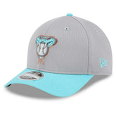 Arizona Diamondbacks Colorway 2025 MLB Batting Practice 9FORTY M-Crown Snapback Cap Gray - Taass outlet