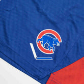 Chicago Cubs Home Plate Nike Performance MLB Shorts - Taass outlet