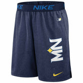 Minnesota Twins 2024 City Connect MLB Authentic Nike Dri-FIT Shorts - Taass on sale