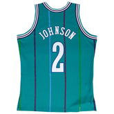 Larry Johnson #2 Charlotte Hornets 1992-93 Mitchell & Ness Swingman NBA Jersey Teal - Taass for sale