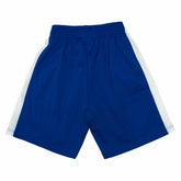 Los Angeles Clippers 2002-03 Mitchell & Ness Swingman NBA Shorts Blau - Taass on sale