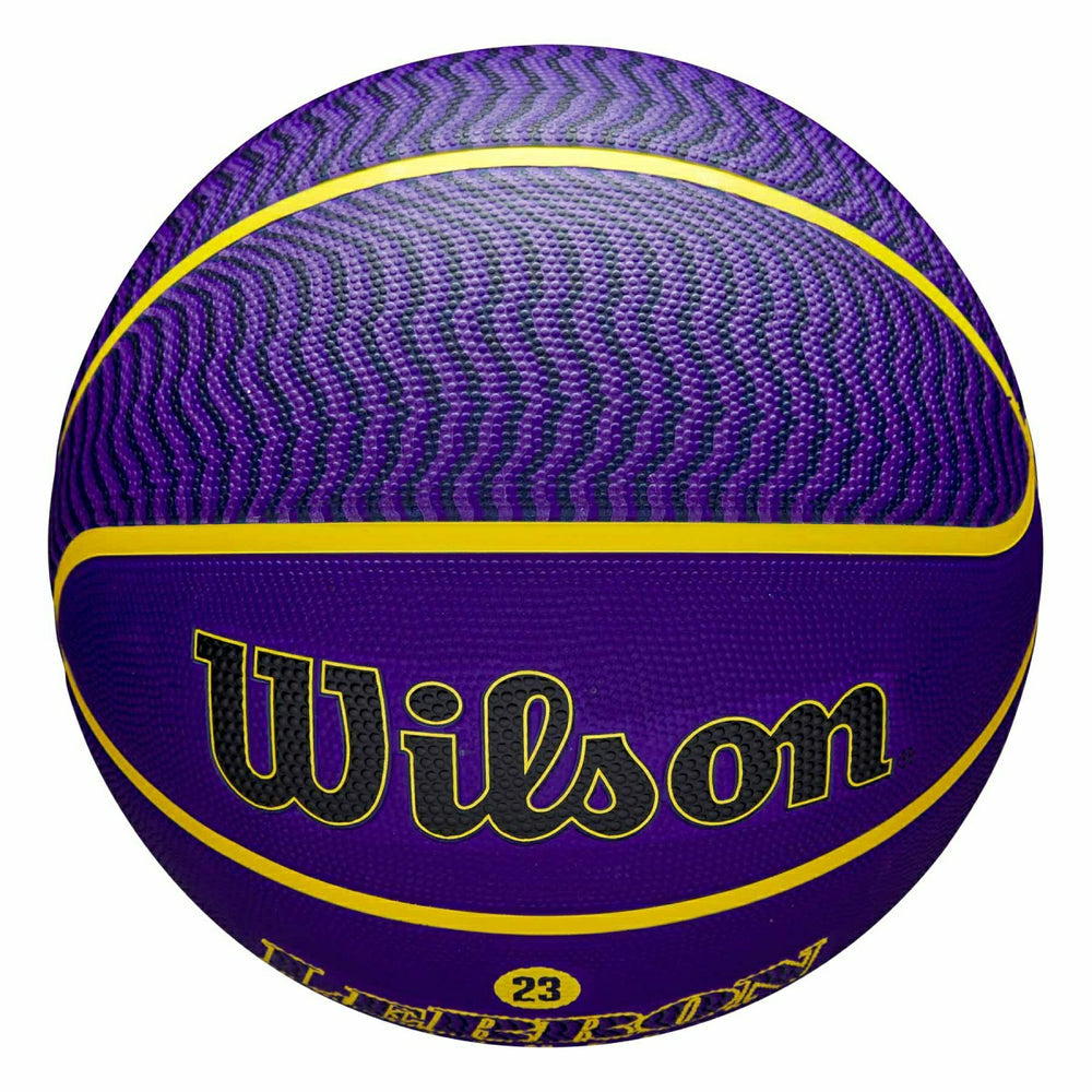 LeBron James Los Angeles Lakers NBA Icon Outdoor Basketball (Size 7) - Taass for sale