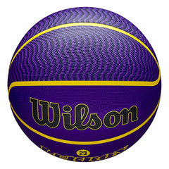 LeBron James Los Angeles Lakers NBA Icon Outdoor Basketball (Size 7) - Taass for sale
