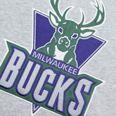 Milwaukee Bucks Pinnacle Mitchell & Ness Heavyweight Fleece NBA Hoodie - Taass sale