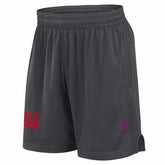 Buffalo Bills 2024 NFL Sideline Mesh Nike Dri-FIT Shorts Gray - Taass on sale