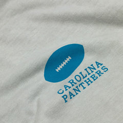 Carolina Panthers L&L '89 Classics NFL T-Shirt Gray - Taass outlet