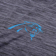 Carolina Panthers 2025 NFL Sideline Nike Velocity Performance T-Shirt Gray - Taass discount