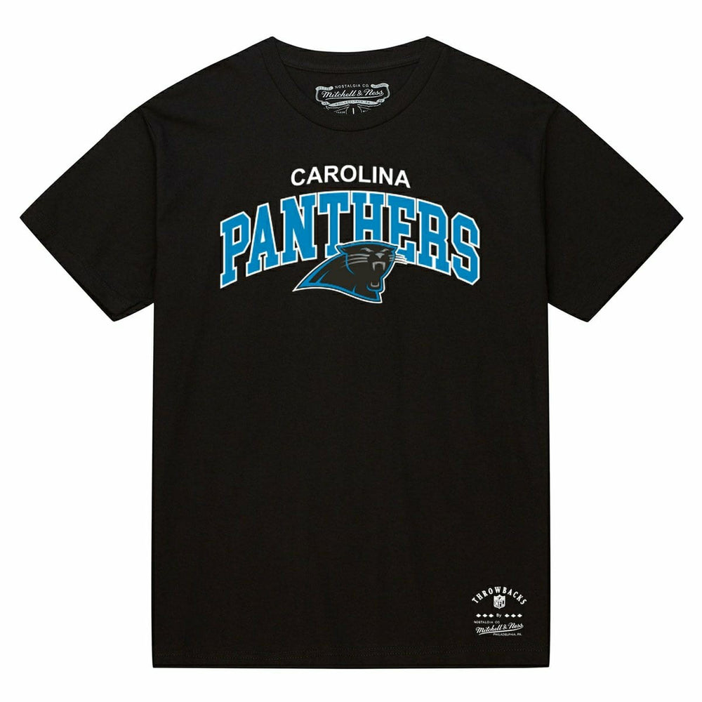Carolina Panthers Mitchell & Ness Classic Arch NFL T-Shirt Black - Taass for sale