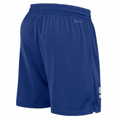 New York Giants 2024 NFL Sideline Mesh Nike Dri-FIT Shorts Blue - Taass Online