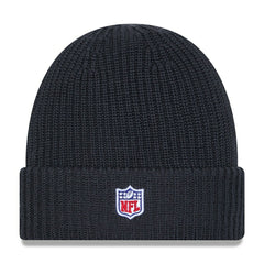 Philadelphia Eagles 2025 NFL Sideline Steel Clouds Cuff Knit Beanie - Taass for sale