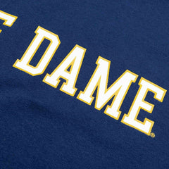 Notre Dame Fighting Irish Colorblock Badge NCAA Hoodie - Taass for sale