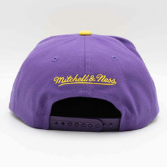 LSU Tigers Team Tone Mitchell & Ness Original Fit Snapback NCAA Cap - Taass sale