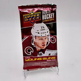 2020/21 Upper Deck Extended Series Hockey Hobby Pack - Taass Online