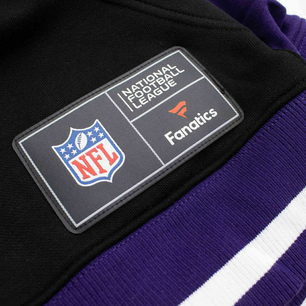 Baltimore Ravens Foundation NFL Hoodie Purple - Taass for sale