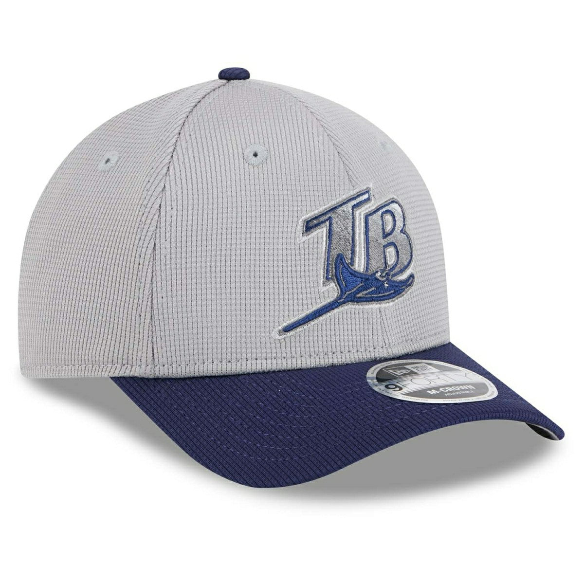 Tampa Bay Rays Colorway 2025 MLB Batting Practice 9FORTY M-Crown Snapback Cap Gray - Taass sale