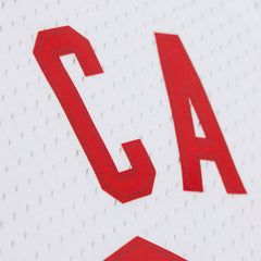 Vince Carter #15 New Jersey Nets 2005-06 Swingman NBA Jersey White - Taass US