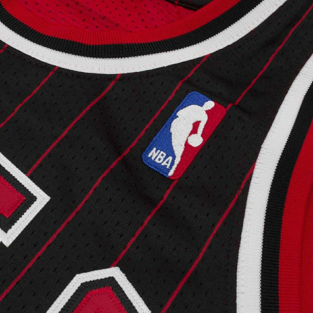 Michael Jordan #23 Chicago Bulls 1995-96 Authentic NBA Jersey Pinstripe - Taass US