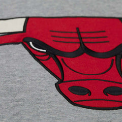 Chicago Bulls Mitchell & Ness Heritage Fleece NBA Hoodie Gray - Taass sale