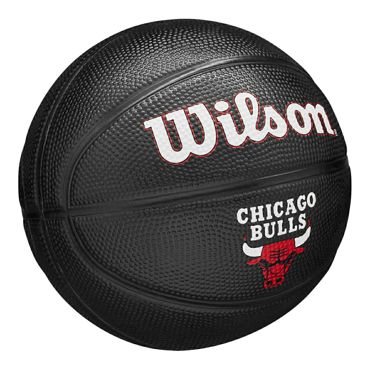 Chicago Bulls Tribute Wilson NBA Mini Basketball (Size 3) - Taass US