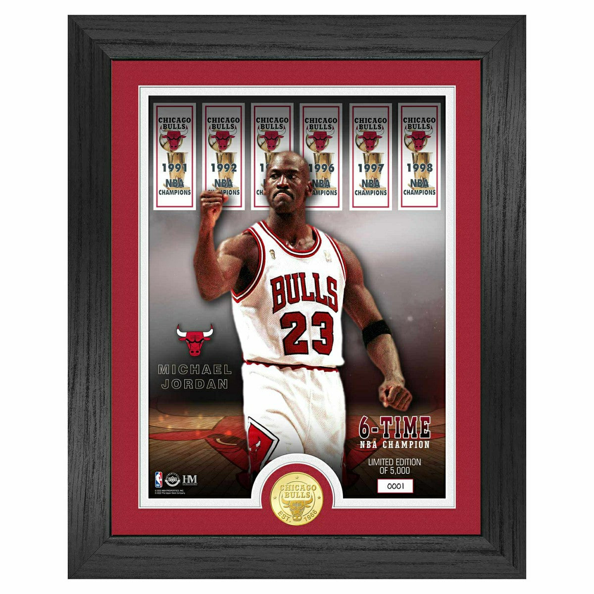 Michael Jordan Chicago Bulls Bronze Coin Framed NBA Photo - Taass on sale