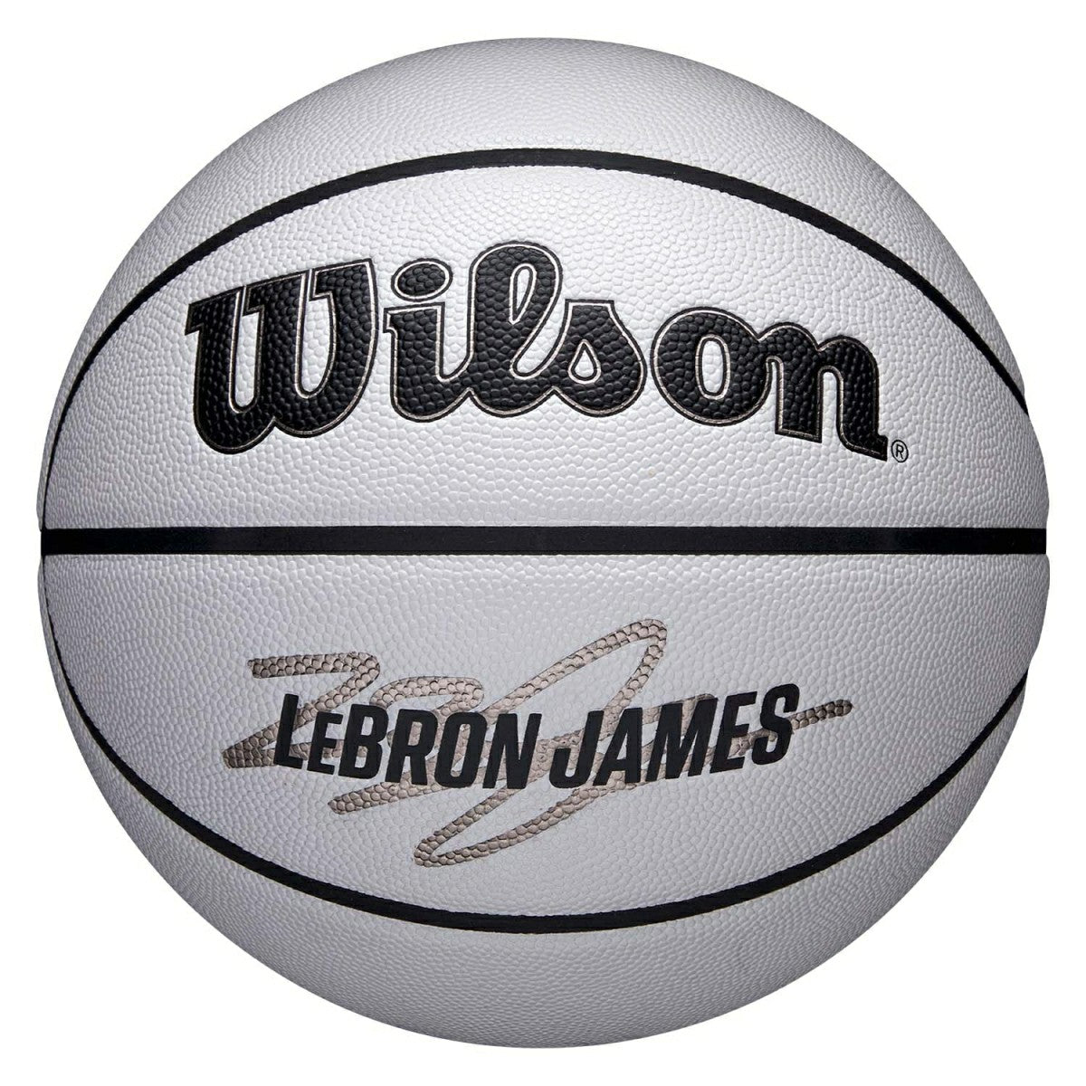 LeBron James UV Player Icon NBA Basketball (Size 7) - Taass for sale