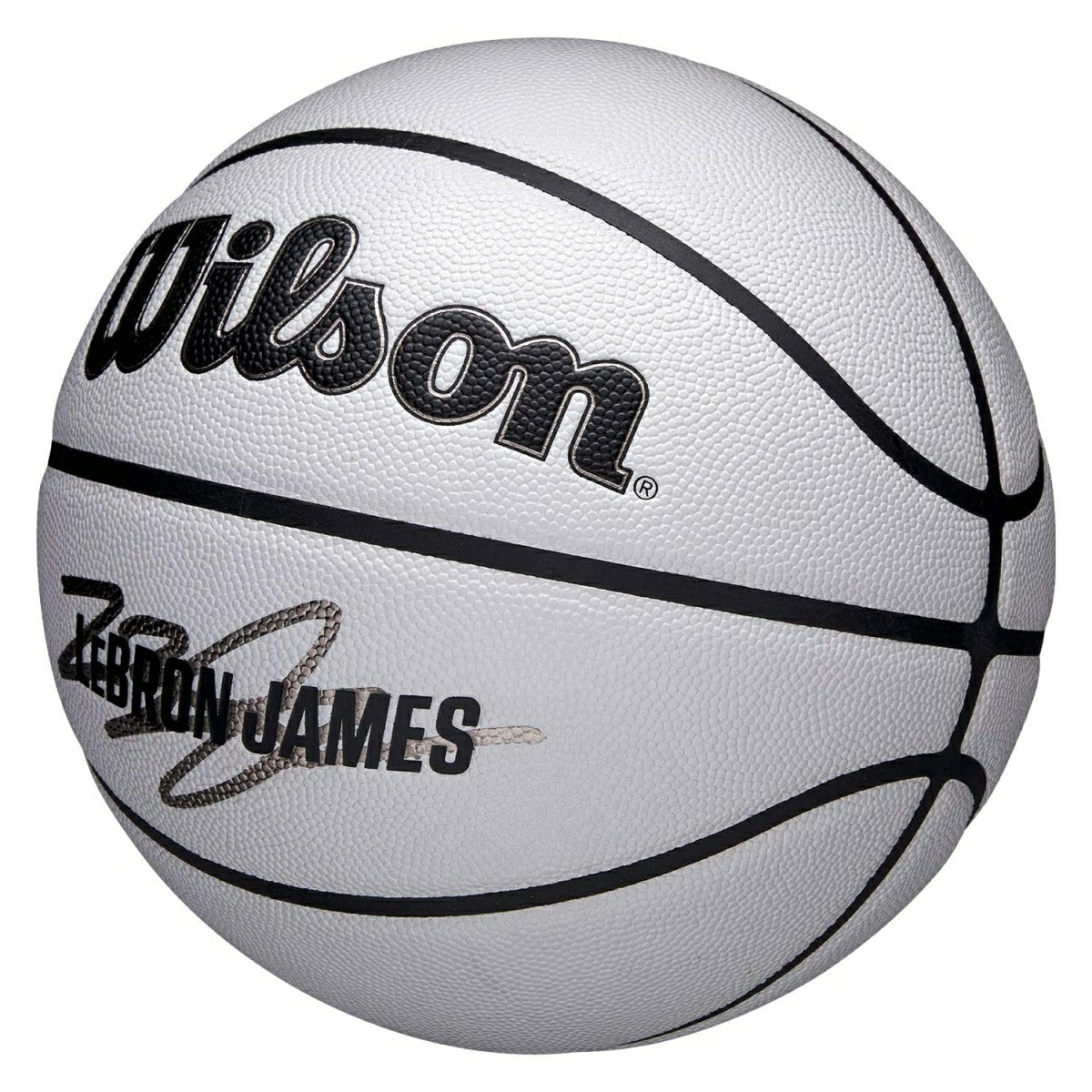LeBron James UV Player Icon NBA Basketball (Size 7) - Taass for sale