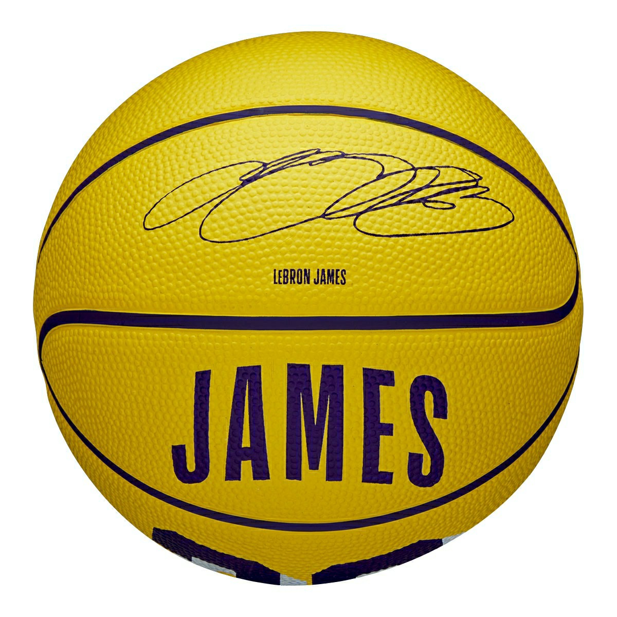 LeBron James #23 Los Angeles Lakers Wilson NBA Mini Basketball (Size 3) - Taass on sale