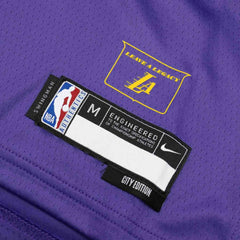 LeBron James #23 Los Angeles Lakers 2024-25 City Edition Nike Swingman NBA Jersey (YOUTH) - Taass discount