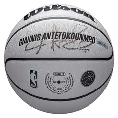 Giannis Antetokounmpo UV Player Icon NBA Basketball (Size 7) - Taass US