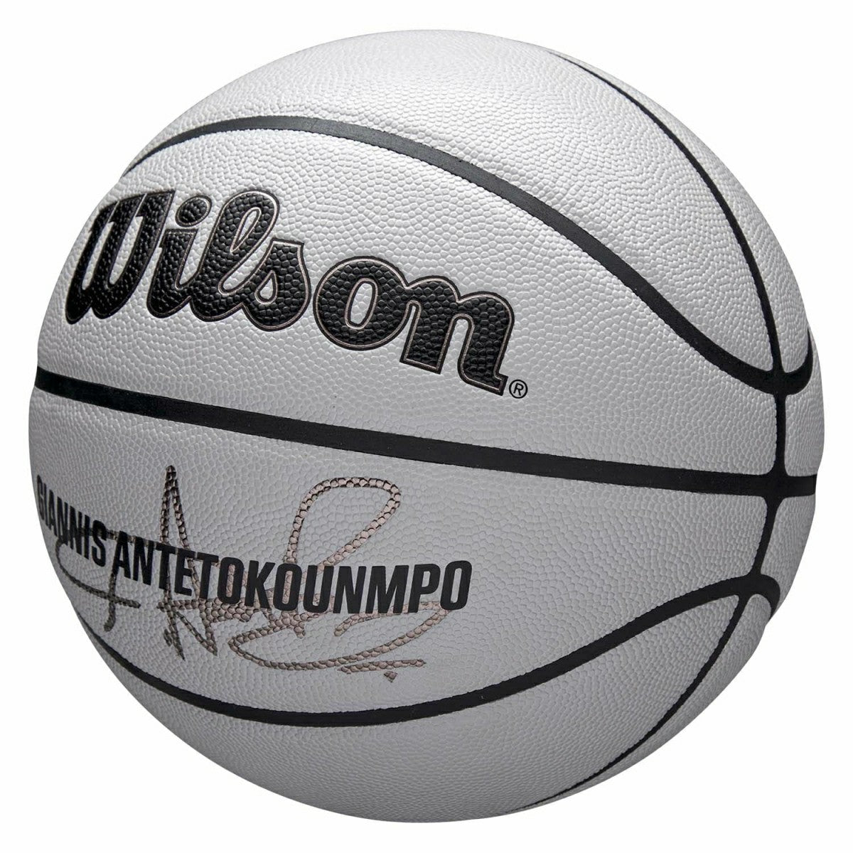 Giannis Antetokounmpo UV Player Icon NBA Basketball (Size 7) - Taass US