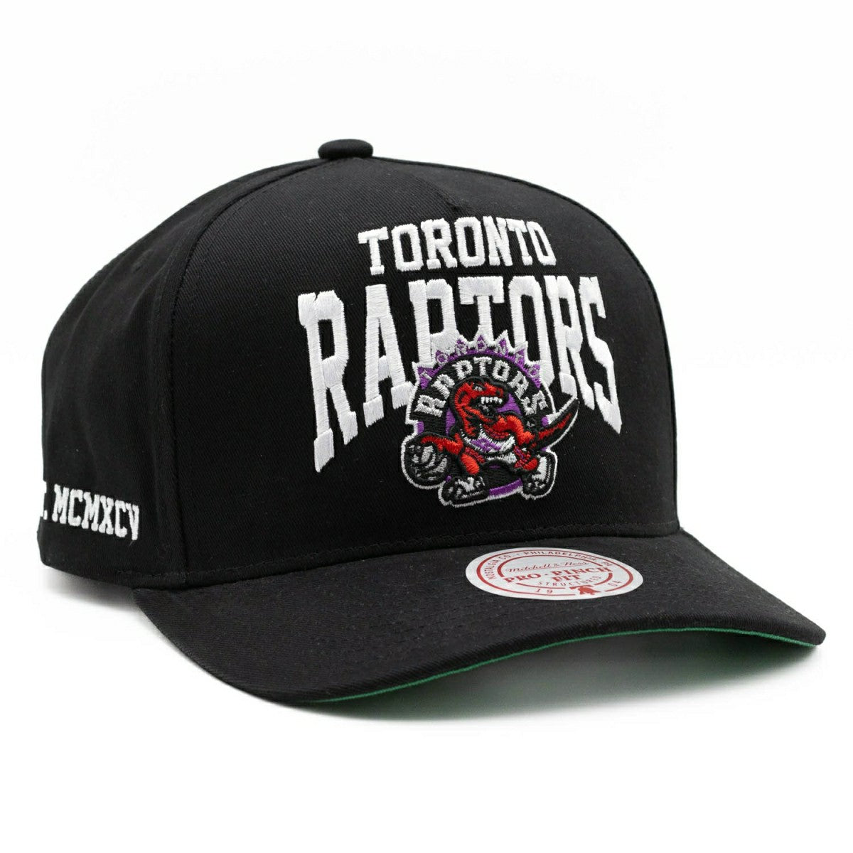 Toronto Raptors Big Time Mitchell & Ness Pro Pinch Snapback NBA Cap - Taass Online