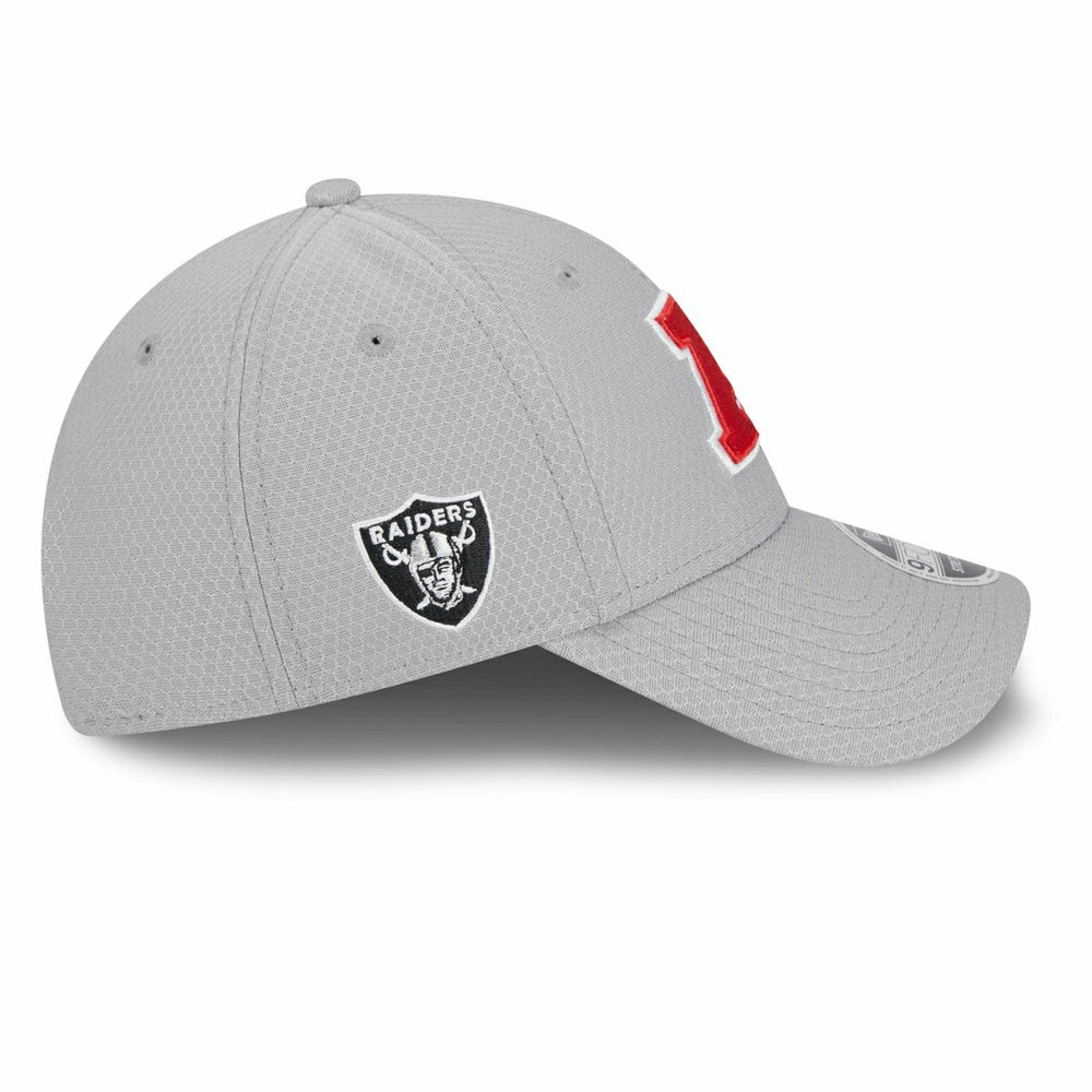 Las Vegas Raiders AFC 2024 Pro Bowl New Era Stretch-Snap 9FORTY NFL Cap Gray - Taass outlet