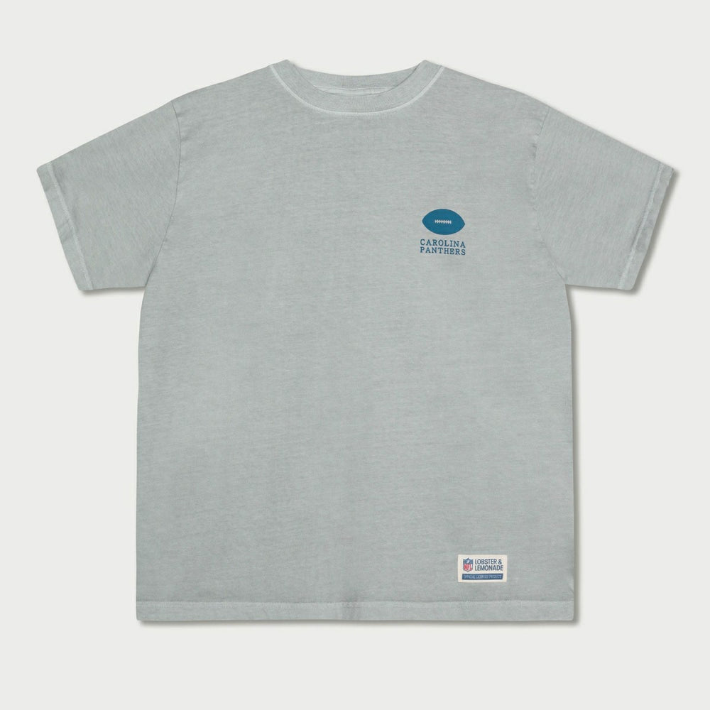 Carolina Panthers L&L '89 Classics NFL T-Shirt Gray - Taass outlet