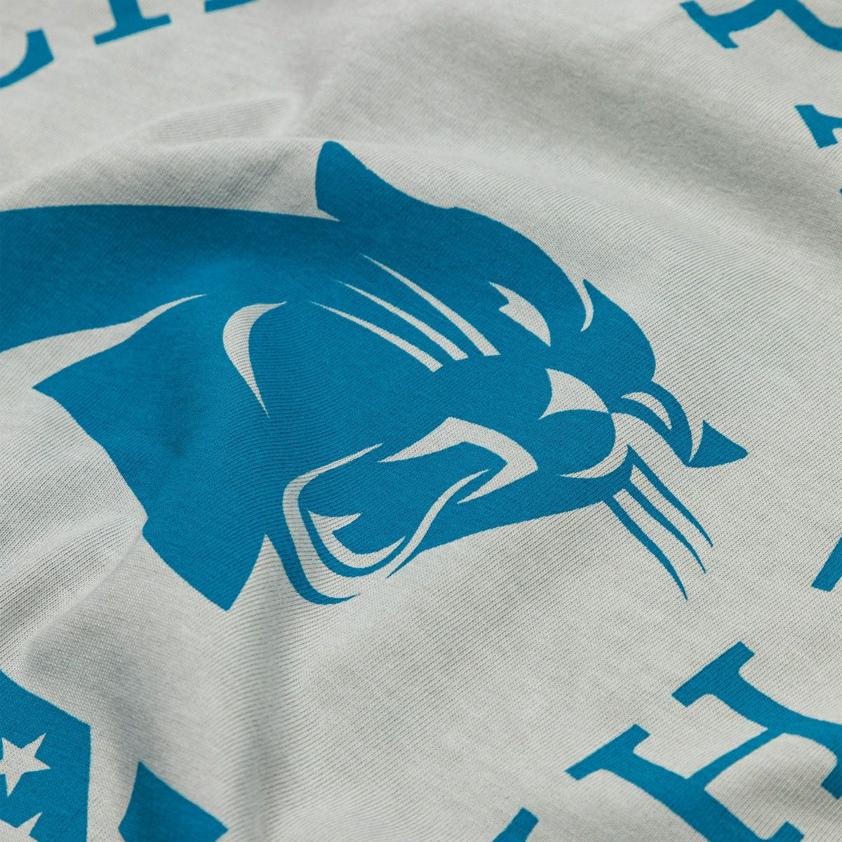 Carolina Panthers L&L '89 Classics NFL T-Shirt Gray - Taass outlet
