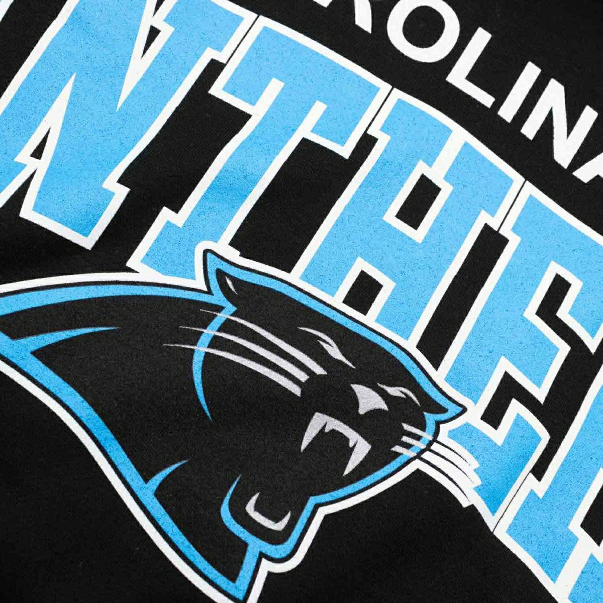 Carolina Panthers Mitchell & Ness Classic Arch NFL Hoodie Black - Taass Online