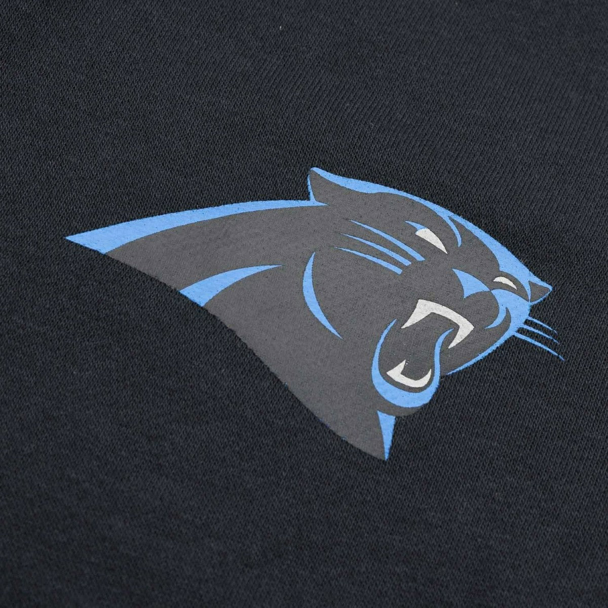 Carolina Panthers 2024 NFL Sideline Nike Club Sweat Pants Black - Taass outlet