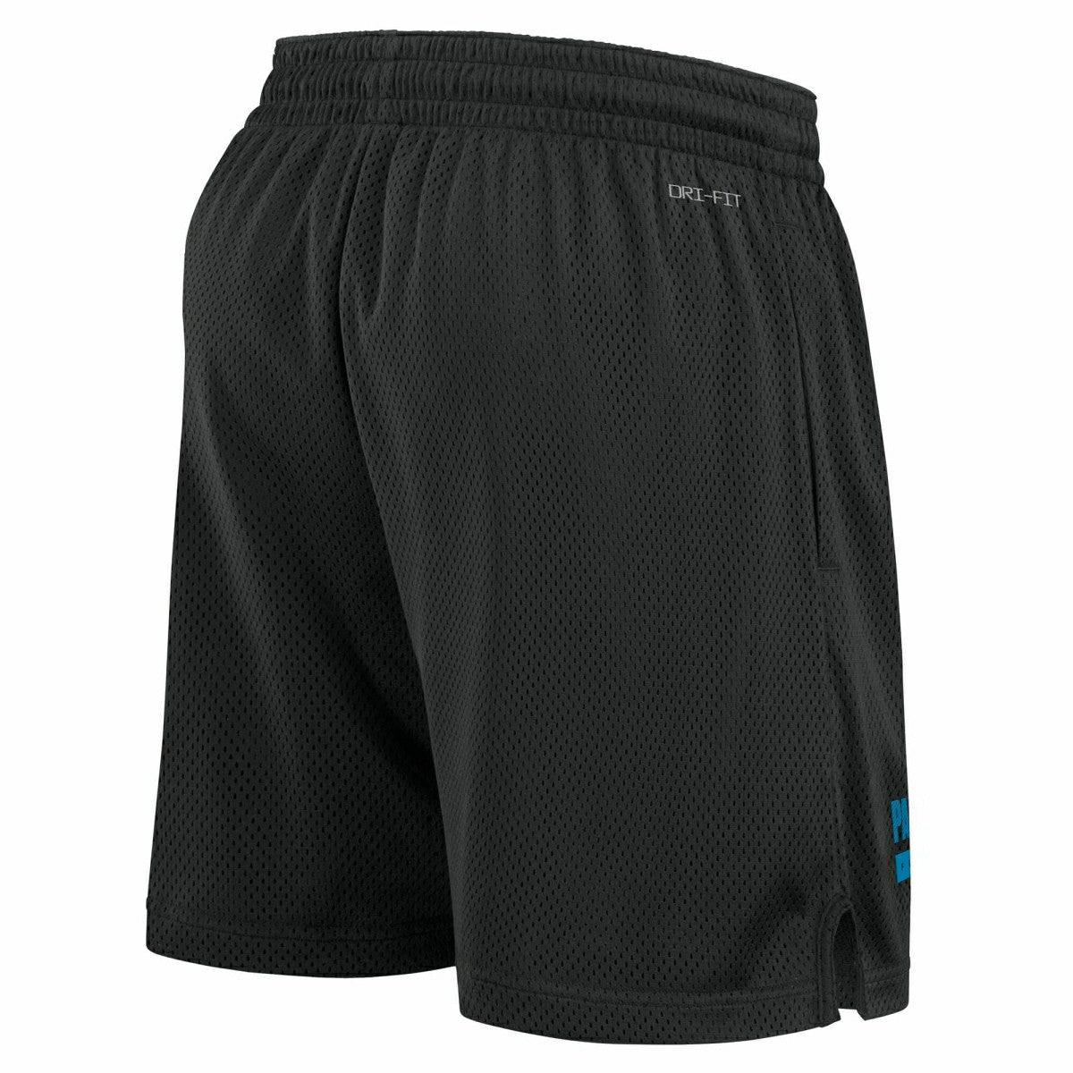 Carolina Panthers 2024 NFL Sideline Mesh Nike Dri-FIT Shorts Black - Taass outlet