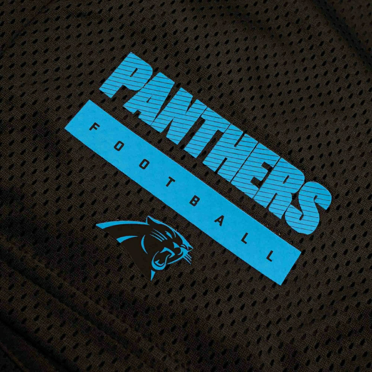 Carolina Panthers 2024 NFL Sideline Mesh Nike Dri-FIT Shorts Black - Taass outlet