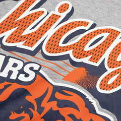 Chicago Bears Sport Classics Oversized NFL T-Shirt Gray - Taass outlet