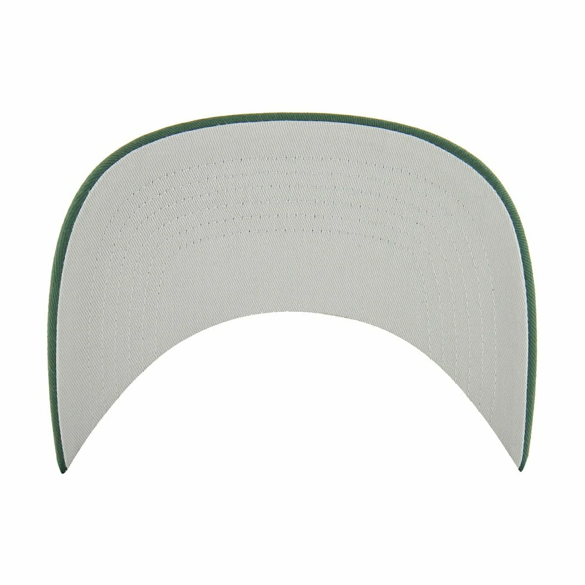 Green Bay Packers '47 Hitch RF Snapback NFL Cap Green - Taass discount