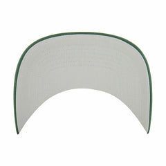 Green Bay Packers '47 Hitch RF Snapback NFL Cap Green - Taass discount