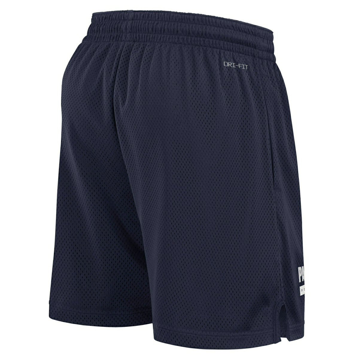 New England Patriots 2024 NFL Sideline Mesh Nike Dri-FIT Shorts Navy - Taass discount
