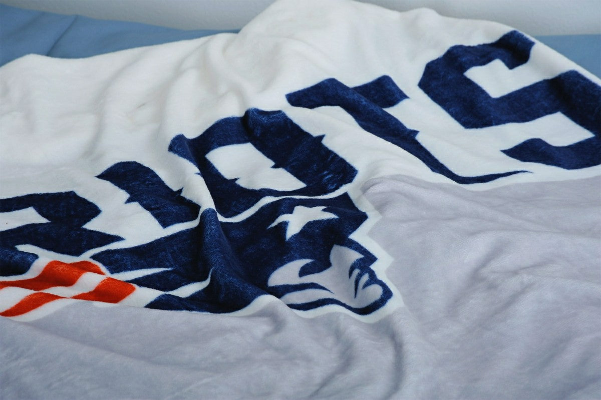 New England Patriots NFL Wellsoft Throw Blanket - Taass on sale