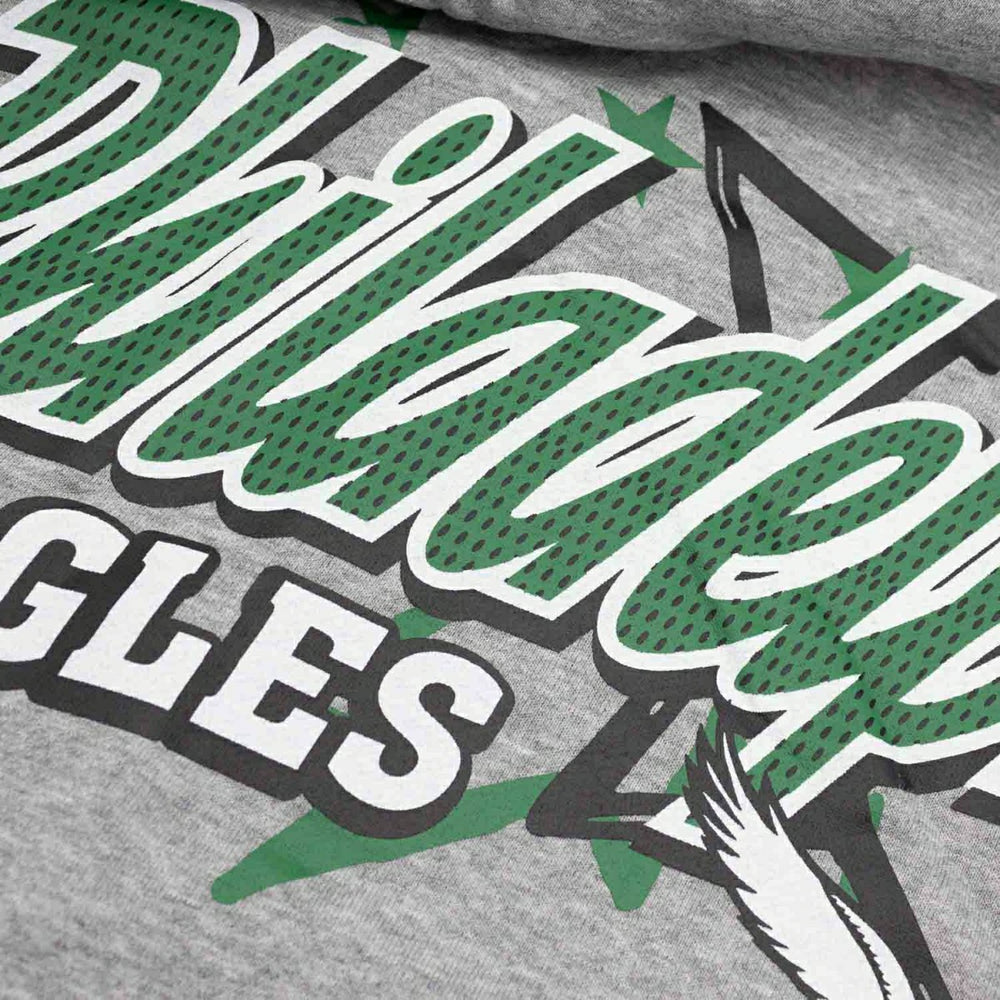 Philadelphia Eagles Sport Classics Oversized NFL Hoodie Gray - Taass discount