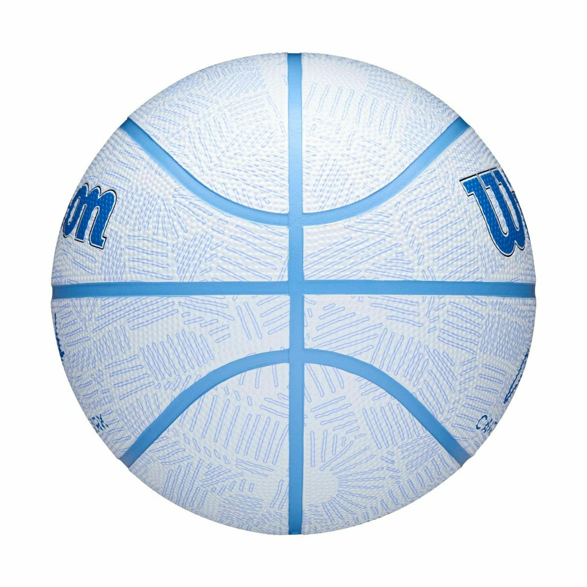 Caitlin Clark Envision Wilson Basketball (Size 6) - Taass for sale