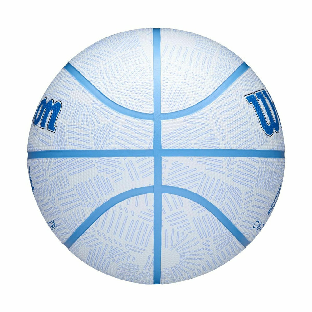 Caitlin Clark Envision Wilson Basketball (Size 6) - Taass for sale