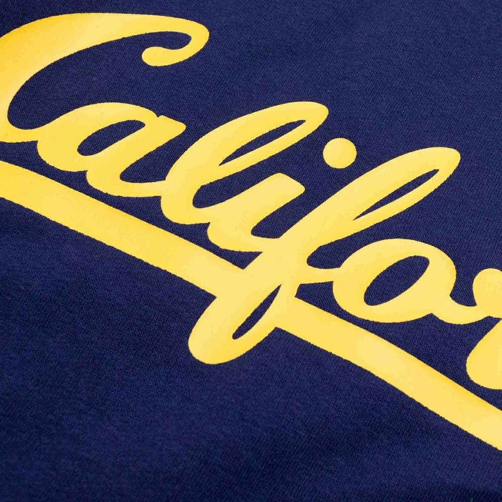 California Golden Bears Colorblock Badge NCAA Hoodie - Taass outlet
