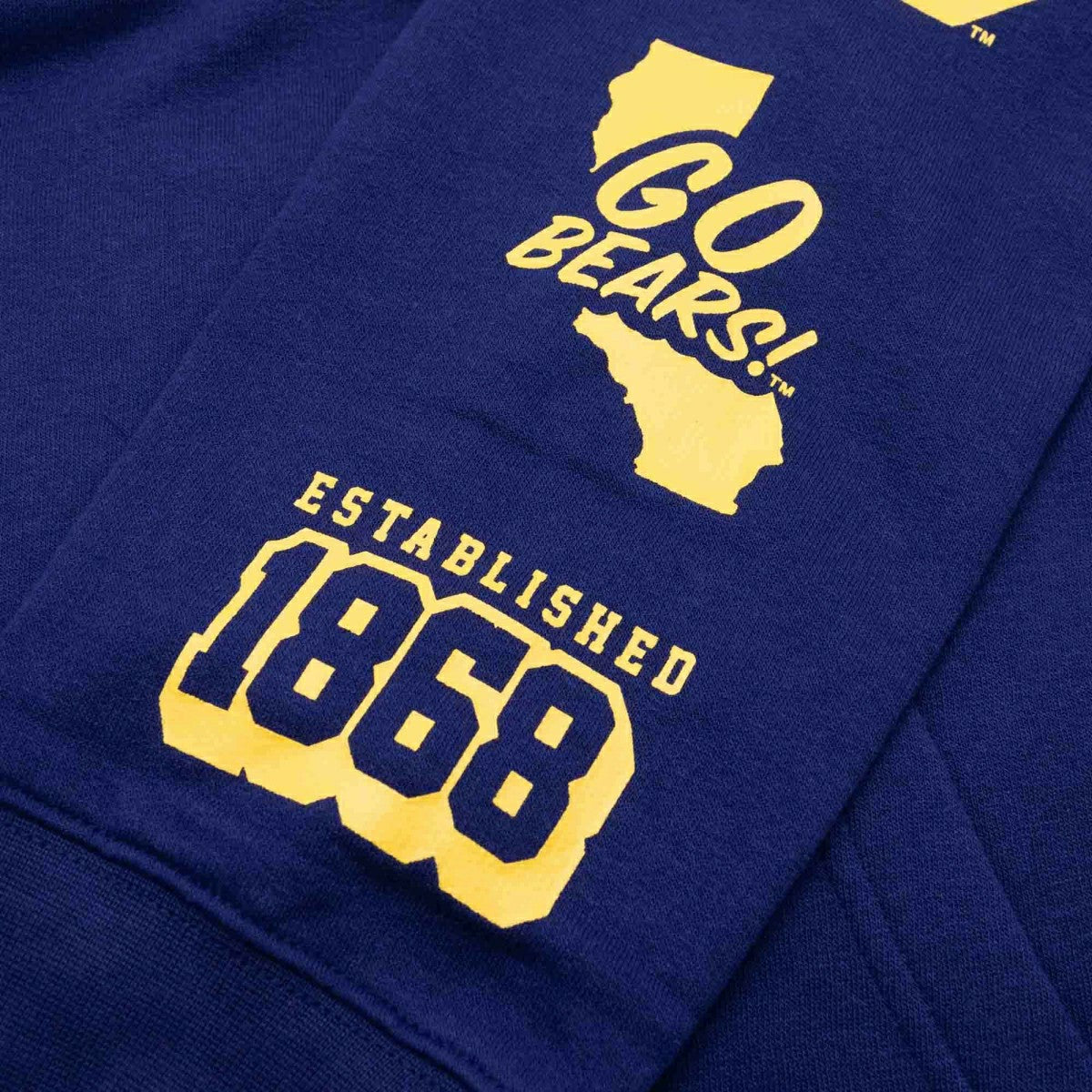 California Golden Bears Colorblock Badge NCAA Hoodie - Taass outlet