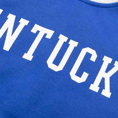 Kentucky Wildcats Colorblock Badge NCAA Hoodie - Taass discount
