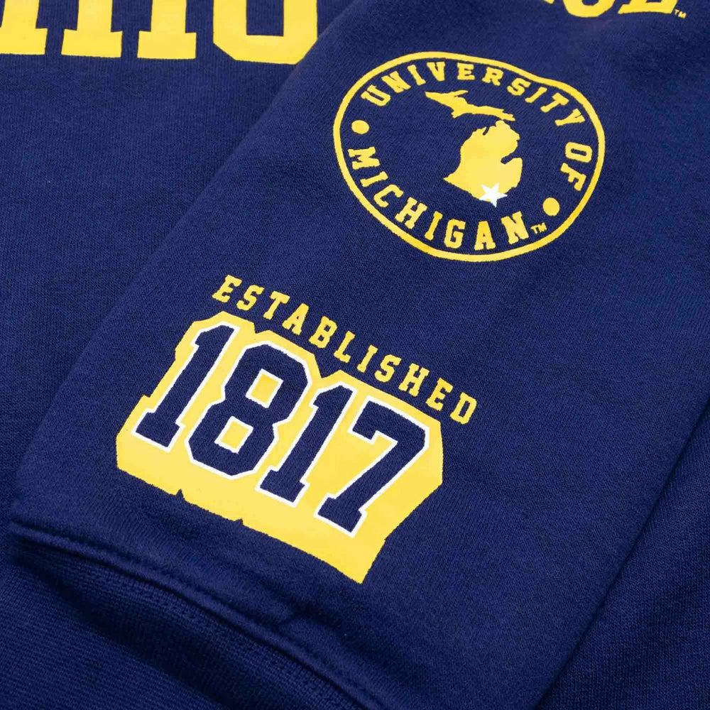 Michigan Wolverines Colorblock Badge NCAA Hoodie - Taass on sale